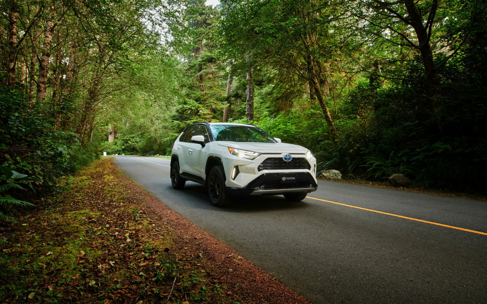 Your Guide to Electric Vehicle Maintenance Birchwood Toyota